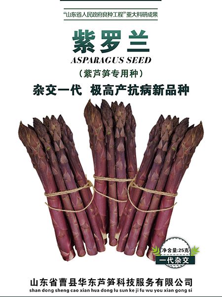 蘆筍生長(zhǎng)周期多久？