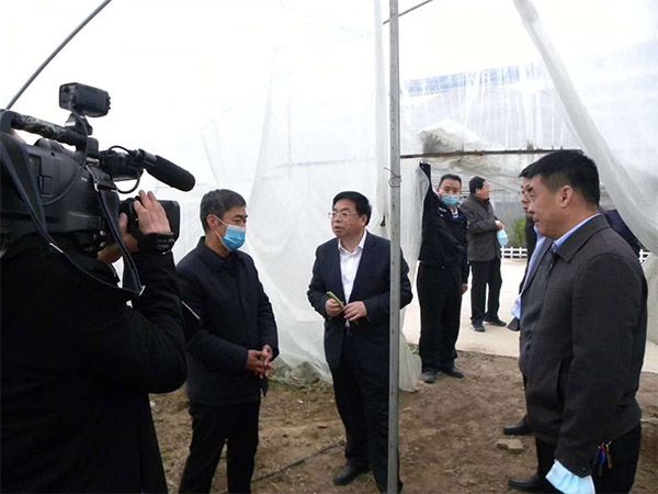 3.30：縣委張乾山書記帶領相關部門領導再科技園檢查指導現(xiàn)代農業(yè)生產